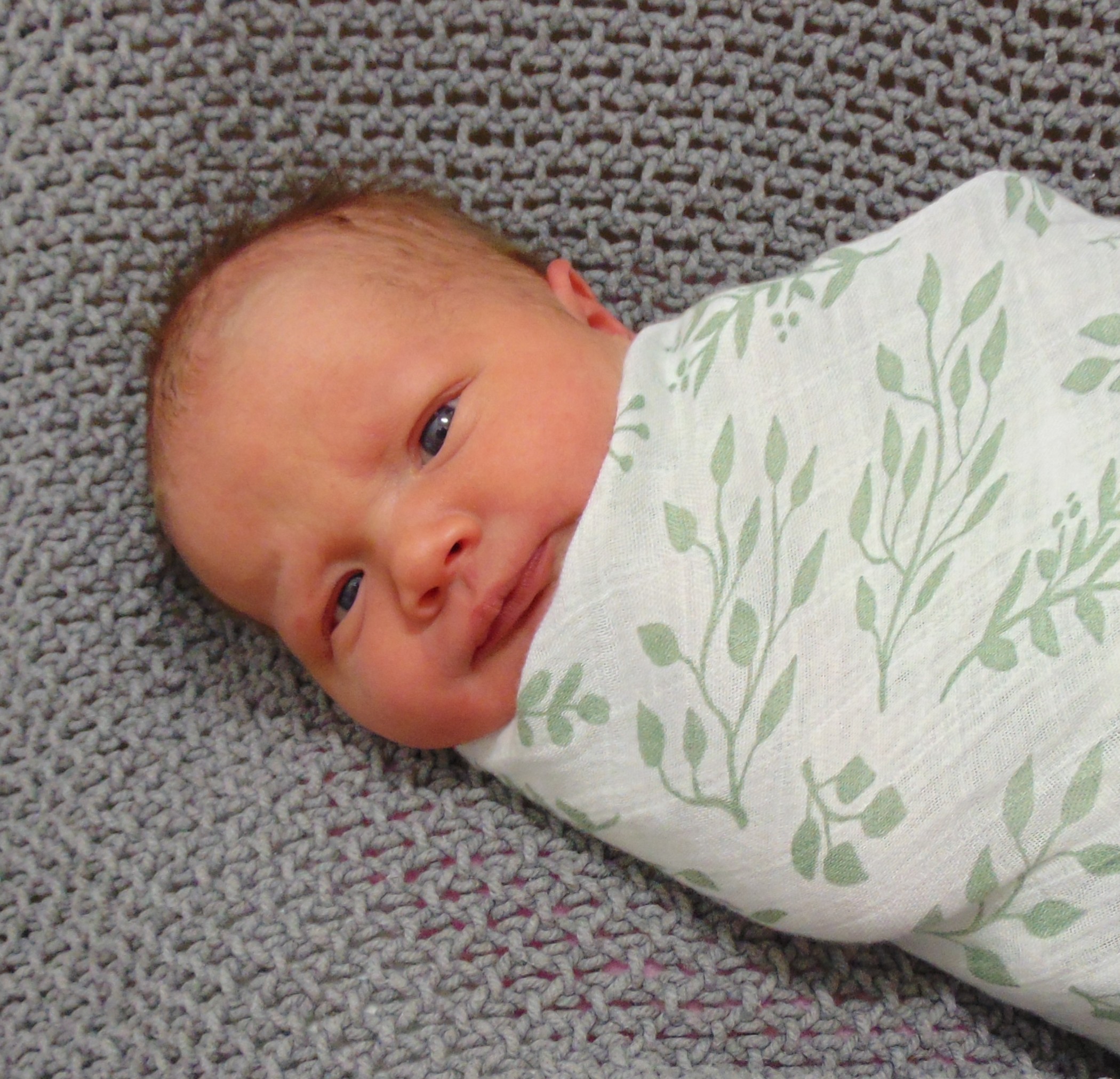 Camila Lynn - CCM Health Special Deliveries